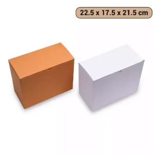 Anzin Corrugated Cardboard Box (22.5 x 17.5 x 21.5 cm) - [AC008]