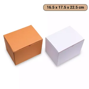 Anzin Corrugated Cardboard Box (16.5 x 17.5 x 22.5 cm) - [AC017]
